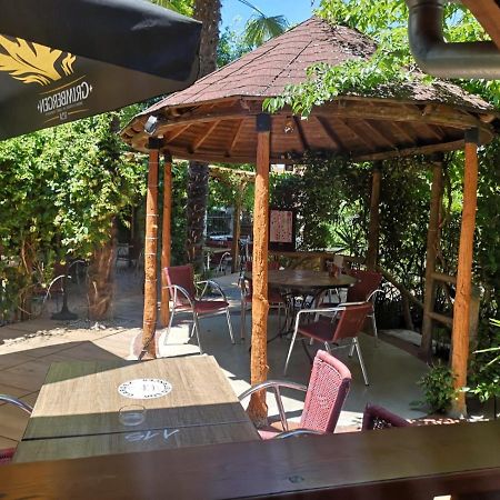ATIPYC hôtel Marssac-sur-Tarn Ngoại thất bức ảnh